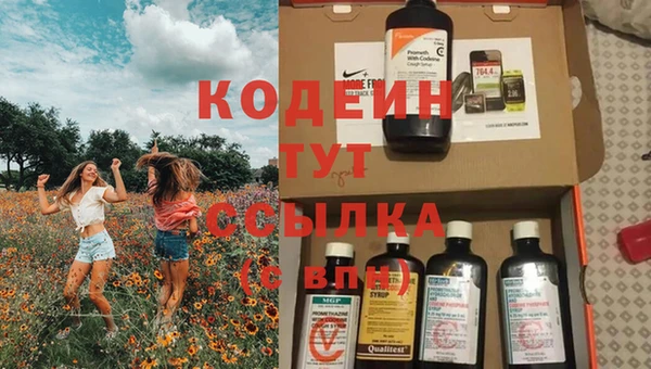 a pvp Бородино