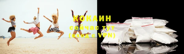 a pvp Бородино