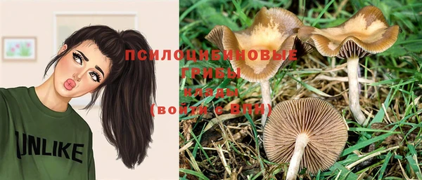 a pvp Бородино