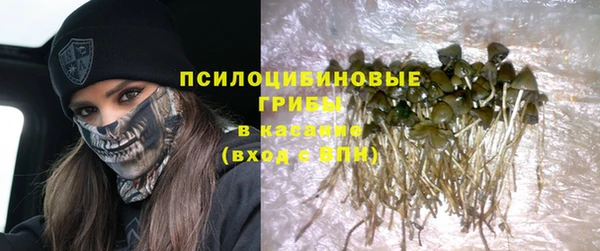 молекула духа Верхний Тагил