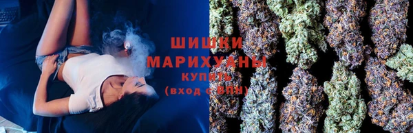 молекула духа Верхний Тагил