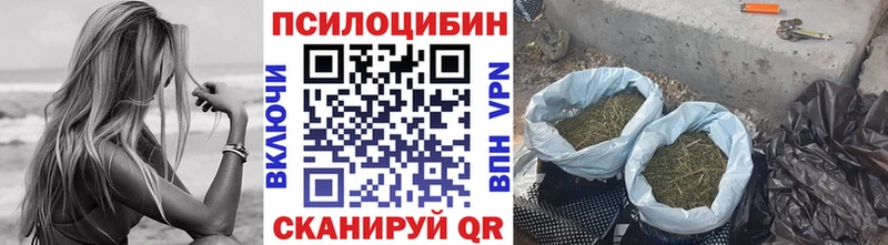 hydra ТОР  Мелеуз  Галлюциногенные грибы MAGIC MUSHROOMS  магазин продажи наркотиков 